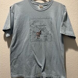 Vintage Nevada red rock canyon shirt